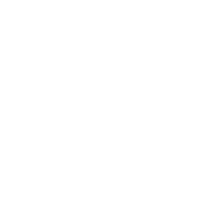 Security 1